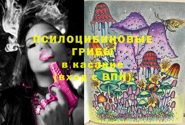 дживик Алексин