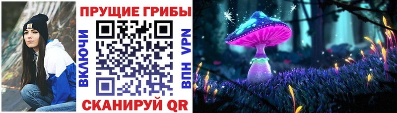 кракен как войти  Сухиничи  Галлюциногенные грибы Magic Shrooms 